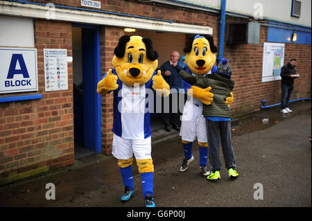 Soccer - Sky Bet Championship - Birmingham City v Barnsley - St Andrew's. Birmingham City mascot Beau Brummie and Belle Brummie (right) greet fans as they arrive at St Andrew's Stock Photo