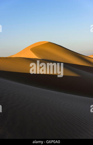 Photography of the summit of a dune on the morning just after sunrise, Stock Photo