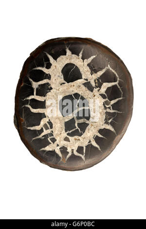 Septarian concretion or (septarian nodule), Morocco, a dense mass formed by precipitation of mineral cement in sedimentary rocks Stock Photo
