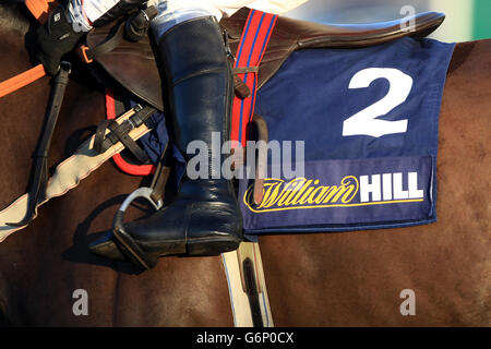 Horse Racing - 2013 William Hill Winter Festival - Day One - Kempton Park Racecourse. William hill branding on the saddle cloths Stock Photo