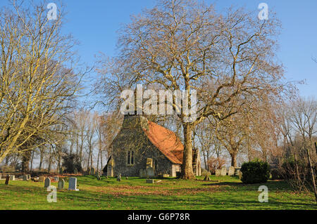 Church of St Mary The Virgin, Apuldram. London Plane Tree Stock Photo