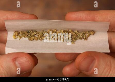 Cannabis buds and cigarette rolling paper Stock Photo