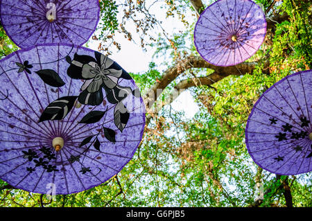Traditional handmade Thai paper parasols in tree, Chiang Mai, northern Thailand Stock Photo