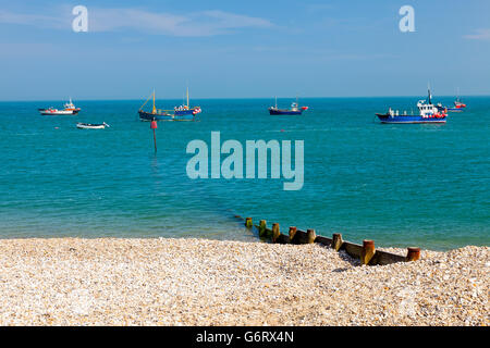 The shingle beach at Selsey Bill West Sussex England UK Europe Stock Photo