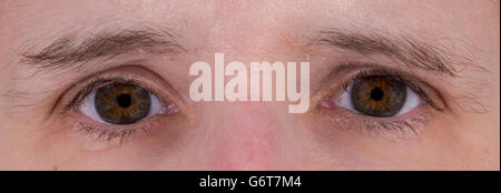 Closeup of a pair of brown human eyes Stock Photo