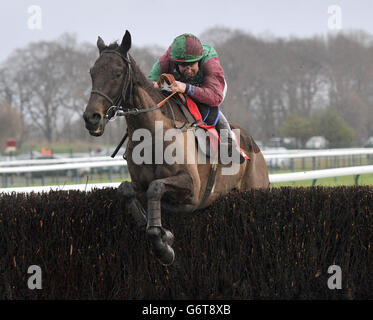 Rigadin De Beauchene and Robert Dunne on their way to victory in the Betfred Grand National Trial during Betfred Grand National Trial Day at Haydock Park, Newton-le-Willows. Stock Photo