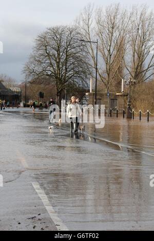 Dog walkers make their way along the flooded riverside in Worcester city centre after the Severn burst it's banks. Stock Photo