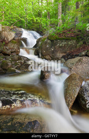 Clough Mine Brook, a tributary of Lost River, in Kinsman Notch of ...