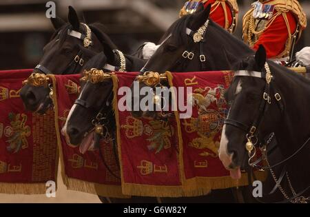 Horses from the Lifeguards Squadron of the Household Cavalry Mounted regiment with guidons presented during the Standards and Guidons ceremony on Horseguards Parade in London. The ceremony was attended by HM the Queen in her capacity as Colonel-in-Chief of the Regiment. Stock Photo