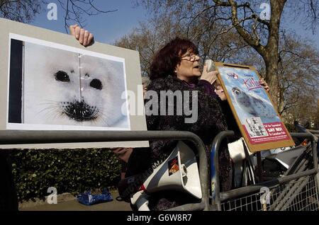 Seal culling protest Stock Photo