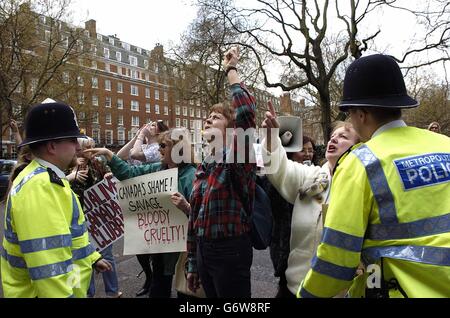 Police and protestors outside the Canadian High Commission, Grosvenor Square, where they are venting there feelings against the country's 'barbaric' seal cull. The cull began in March off the coast of Quebec and Prince Edward Island and started in eastern Newfoundland. Stock Photo