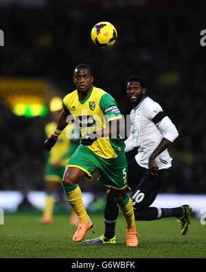 Soccer - Barclays Premier League - Norwich City v Tottenham Hotspur - Carrow Road. Sebastien Bassong, Norwich City Stock Photo