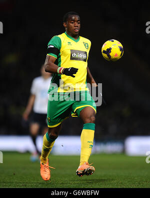 Soccer - Barclays Premier League - Norwich City v Tottenham Hotspur - Carrow Road. Sebastien Bassong, Norwich City Stock Photo