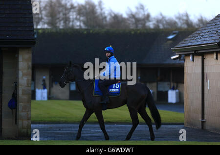 Horse Racing - Jonjo O'Neill stable visit - Jackdaws Castle. Trainer ...