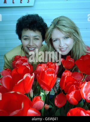 Linda Mitchell (left) and Caron Keating amongst tulips at the Garden Festival Wales. The two will present a BBC Wales lunchtime show 'Summer Scene' for BBC! from the Festival Site. 14/04/2004: Former TV presenter Caron Keating died last night after losing her battle with cancer, family friend Peter Powell said, Wednesday April 14, 2004. Stock Photo