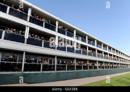 Horse Racing - 2014 Cheltenham Festival - Champion Day - Cheltenham Racecourse Stock Photo