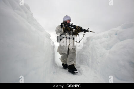 12/03/14 marine reservists on ski patrol in the hills of Harstad, Northern Norway, in the Arctic Circle as part of their Cold Weather Survival training lasts which lasts for two weeks. Stock Photo