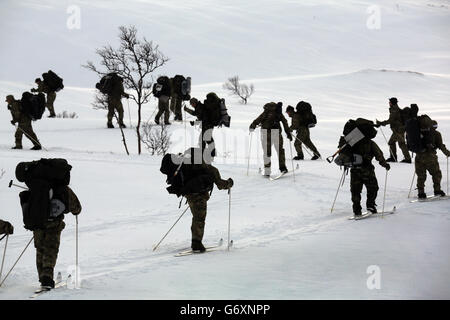 Marines arctic training Stock Photo