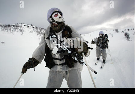 12/03/14 marine reservists on ski patrol in the hills of Harstad, Northern Norway, in the Arctic Circle as part of their Cold Weather Survival training lasts which lasts for two weeks. Stock Photo