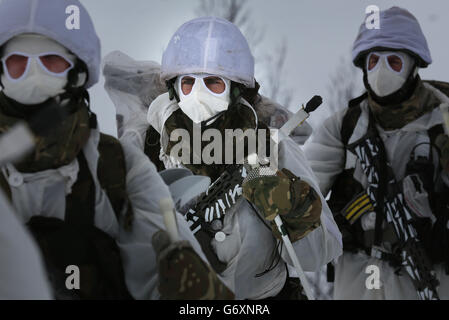 12/03/14 marine reservists on ski patrol in the hills of Harstad, Northern Norway, in the Arctic Circle as part of their Cold Weather Survival training lasts which lasts for two weeks. Stock Photo