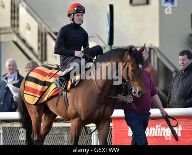 Horse Racing - Irish Lincolnshire/Lodge Park Stud Park Express Stakes Day - Curragh Racecourse Stock Photo