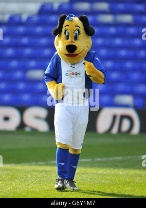 Soccer - Sky Bet Championship - Birmingham City v Bournemouth - St Andrew's. Birmingham City mascot Belle Brummie Stock Photo