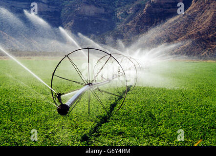 Irrigation equipment spraying water on farm fields near Cortez, Colorado, USA Stock Photo