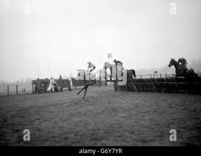 Leading as the last hurdle is cleared, Branca Doria, ridden by R. J. Hamey, was the winner of the Annual Handicap Hurdle race at Sandown Park. Second was Sago (seen in second position), ridden by F Winter, and third was St Kilda, ridden by D Weeden. Stock Photo