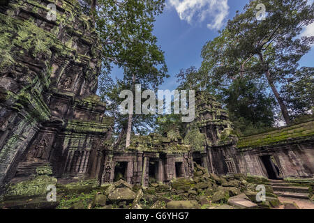 Ta Prohm covered with mosses, lichens and trees, near Siem Reap, Cambodia Stock Photo
