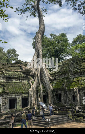 Tourists inside the West Gate of Ta Prohm at the large thitpok (Tetrameles nudiflora) tree, near Siem Reap, Cambodia Stock Photo
