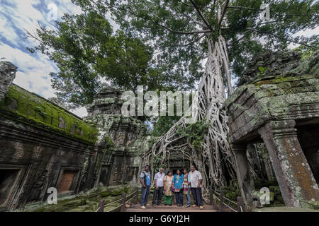 Visitor with famous strangler fig, Ta Prohm temple, near Siem Reap, Cambodia Stock Photo
