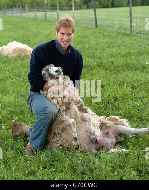 Royalty - Prince William - Duchy Home Farm, Gloucestershire Stock Photo