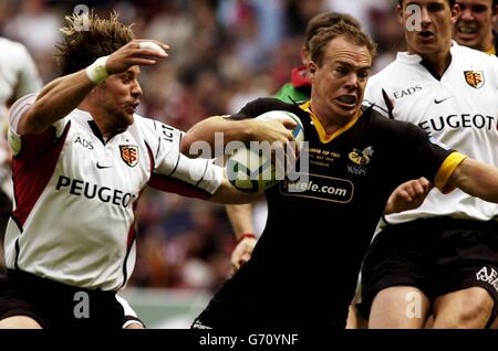 Toulouse's Emmanuel Meafou (left) and Wasps' Tom Willis battle for a lose  ball during the Heineken