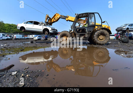 Motor Hog feature Stock Photo