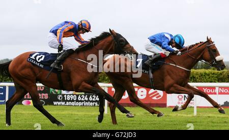 Horse Racing - Coolmore Vintage Crop Stakes Day - Navan Racecourse Stock Photo