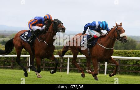 Horse Racing - Coolmore Vintage Crop Stakes Day - Navan Racecourse Stock Photo