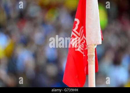Soccer - Sky Bet Championship - Nottingham Forest v Brighton and Hove Albion - City Ground Stock Photo
