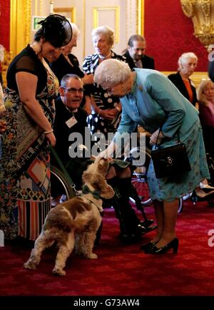 Queen Elizabeth II pets Harris, a PAT dog, during a reception for Leonard Cheshire Disability in the State Rooms, St James's Palace, London. Stock Photo