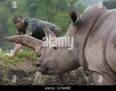 Blair Drummond Safari Park keeper Graeme Alexander crawls along a verge as he trains for the Tough Mudder Challenge. Stock Photo