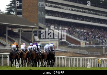 Runners and riders in The Hong Kong International Sale Auction Stakes Trophy run the last ever race on the straight course before the redevelopment at Ascot Races. Stock Photo