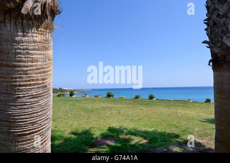 View of the sea between two palm trees, in protaras beach, cyprus island, bottom to top view Stock Photo