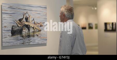 Wildlife Photographer of the Year Exhibition - Dublin. s Docklands, Dublin. Stock Photo