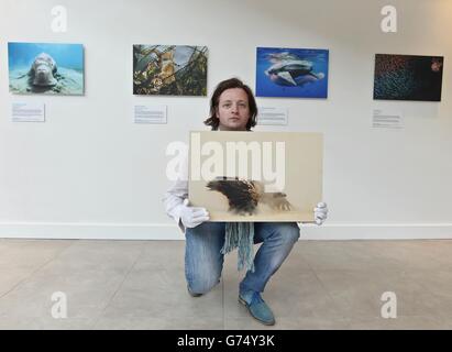 Wildlife Photographer of the Year Exhibition - Dublin. s Docklands, Dublin. Stock Photo