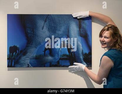 Wildlife Photographer of the Year Exhibition - Dublin Stock Photo