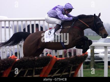 Horse racing from Fakenham - Raw Silk Stock Photo