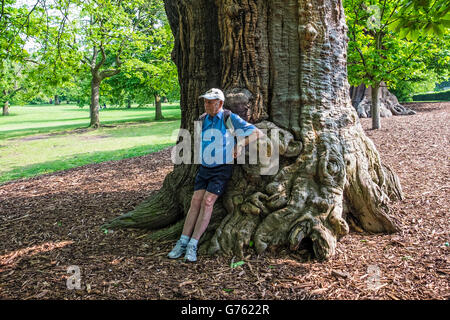 Senior man resting against a giant old tree in Greenwich Park, London Stock Photo