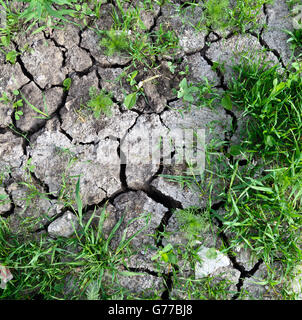 Dry soil with cracks for background Stock Photo