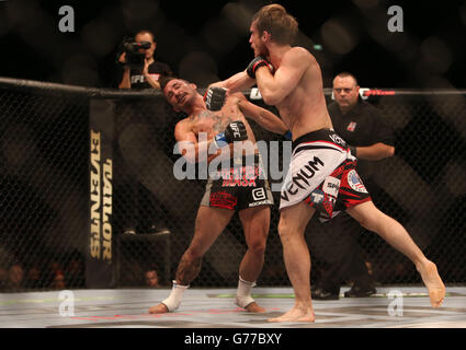 US's Ian McCall (left) against England's Brad Pickett during their Flyweight bout at the UFC Fight Night at the O2 in Dublin. Stock Photo