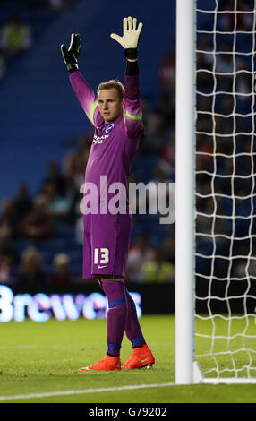 Soccer - Pre Season Friendly - Brighton & Hove Albion v Southampton - AMEX Stadium. Brighton & Hove Albion's David Stockdale Stock Photo