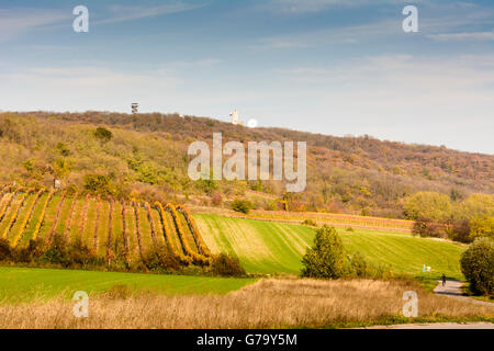 Lookout Königswarte and radio listening station of the Military Intelligence Agency ( army ) and vineyards, Berg, Austria, Niede Stock Photo
